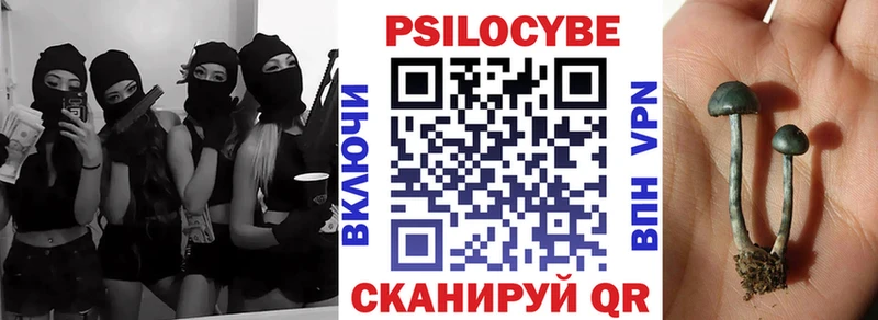 Галлюциногенные грибы Psilocybe  цена наркотик  Салават 